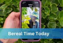 Bereal Time Today - A Detailed Information!
