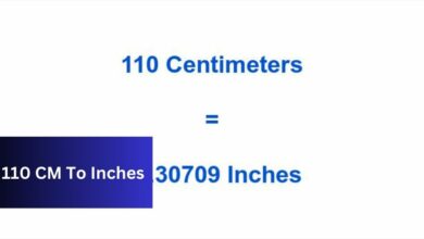 110 CM To Inches